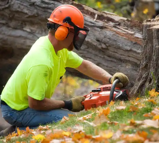 tree services Golden Meadow